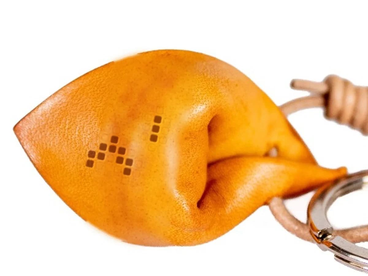 The PromptHaus Leather Tortellino in natural tan, with the PromptHaus mark pressed into the leather.